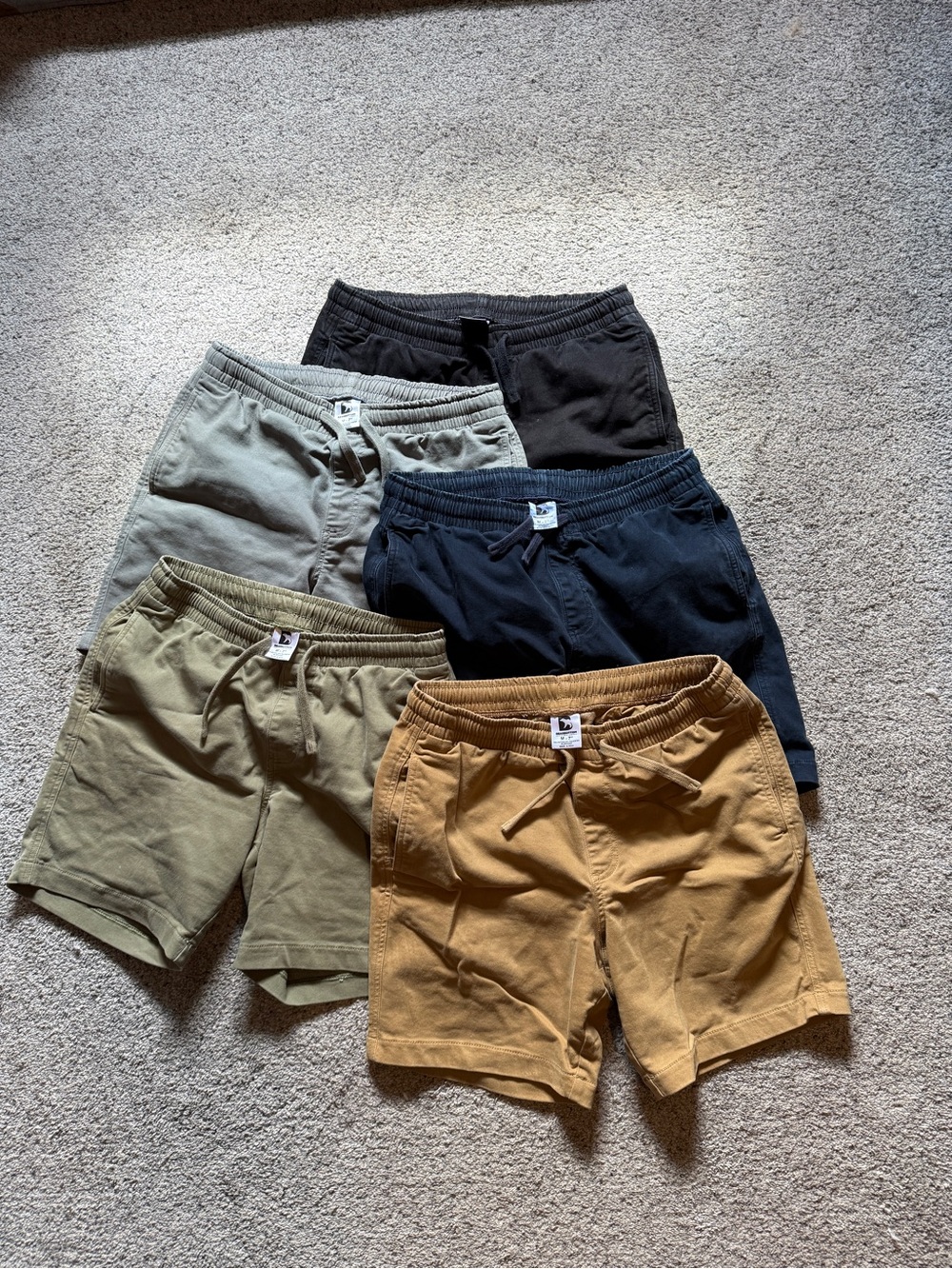 Bearbottom Alto Shorts - Size M, 7” Inseam, 5 color lot